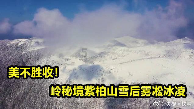 卡通红色汽车拼图